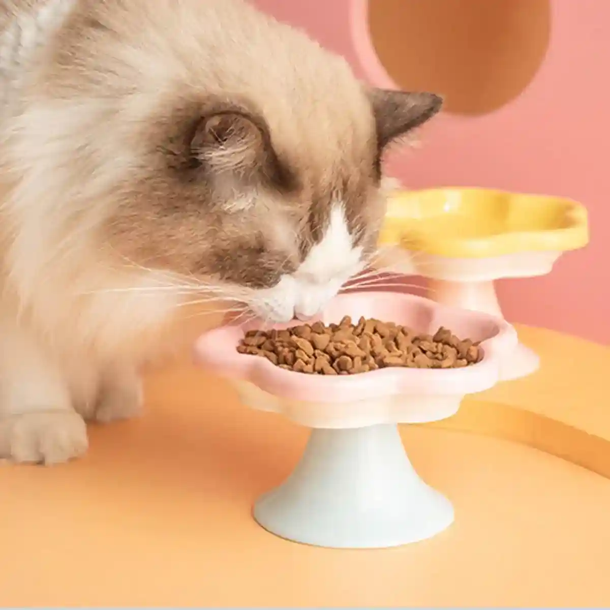 Elevated Ceramic Cat Bowl  Anti-Knock Flower-Shaped Dish for Cats & Small Pets - Image 8