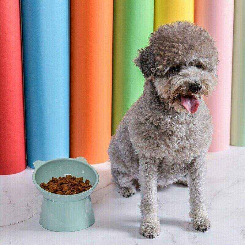 Elevated Dog Food Bowl 3 Colours - Image 11