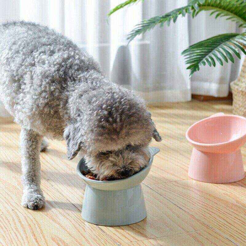 Elevated Dog Food Bowl 3 Colours - Image 12