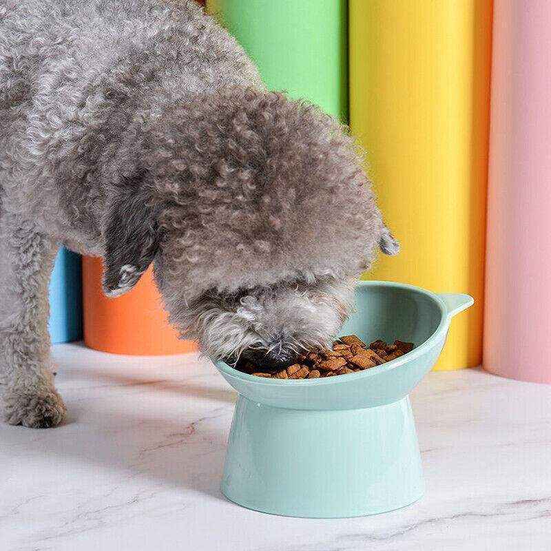 Elevated Dog Food Bowl 3 Colours - Image 4