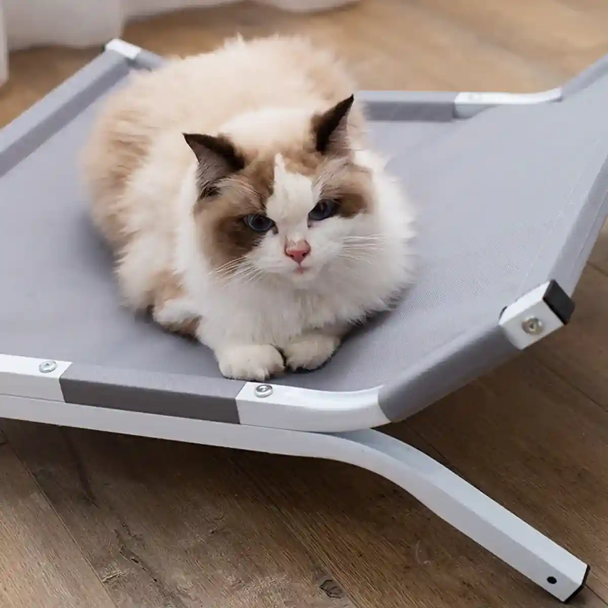 Elevated Pet Camp Bed Breathable Mesh & Steel Frame - Image 14