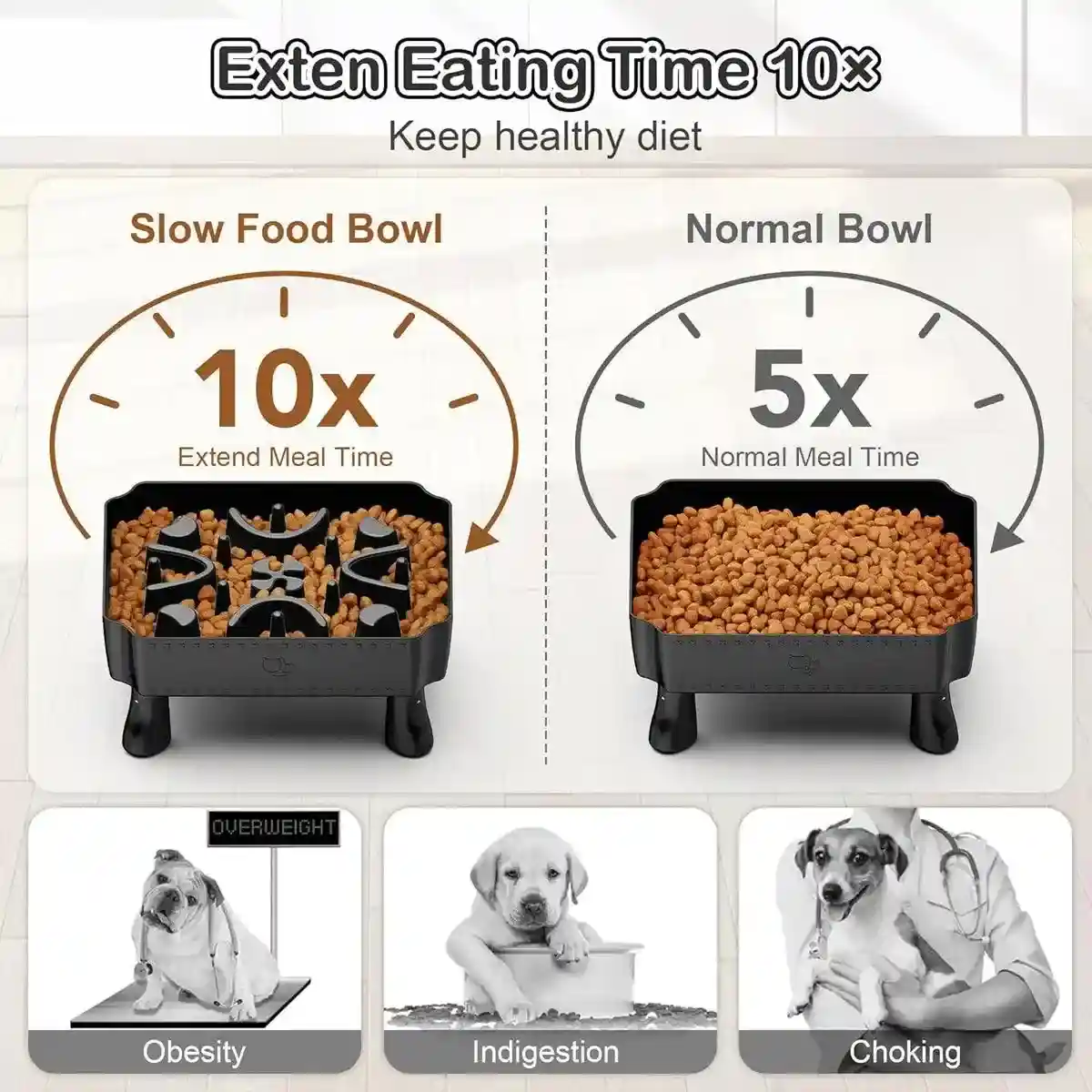 Elevated Slow Feeder Bowl for Pets Large Capacity & Anti-Slip Design - Image 4