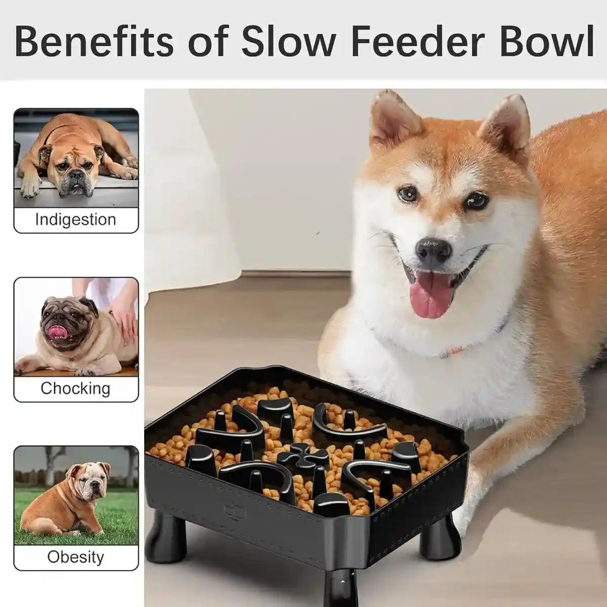Elevated Slow Feeder Bowl for Pets Large Capacity & Anti-Slip Design - Image 9
