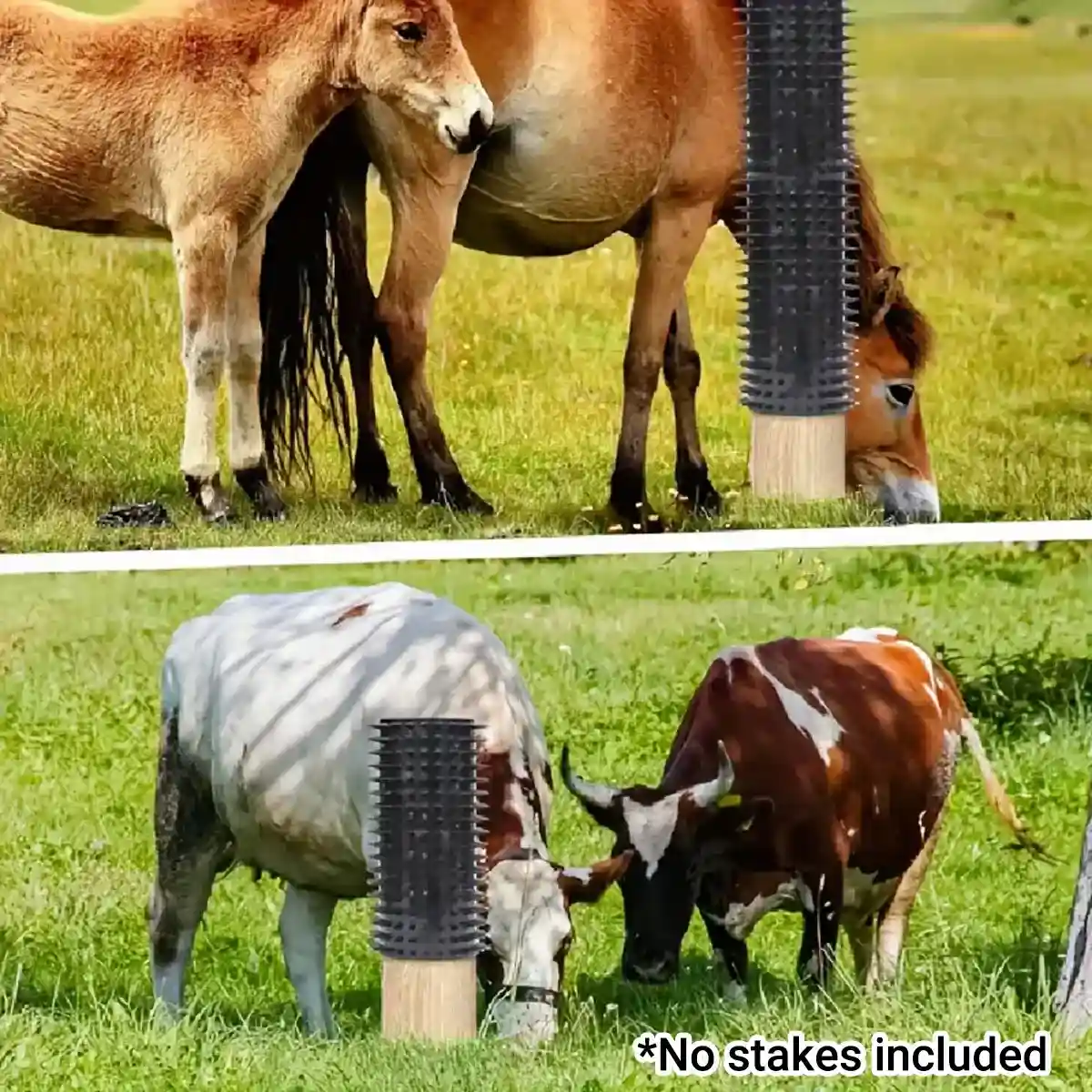 Durable Equine Scratching Pad for Horses and Cattle Grooming - Image 10