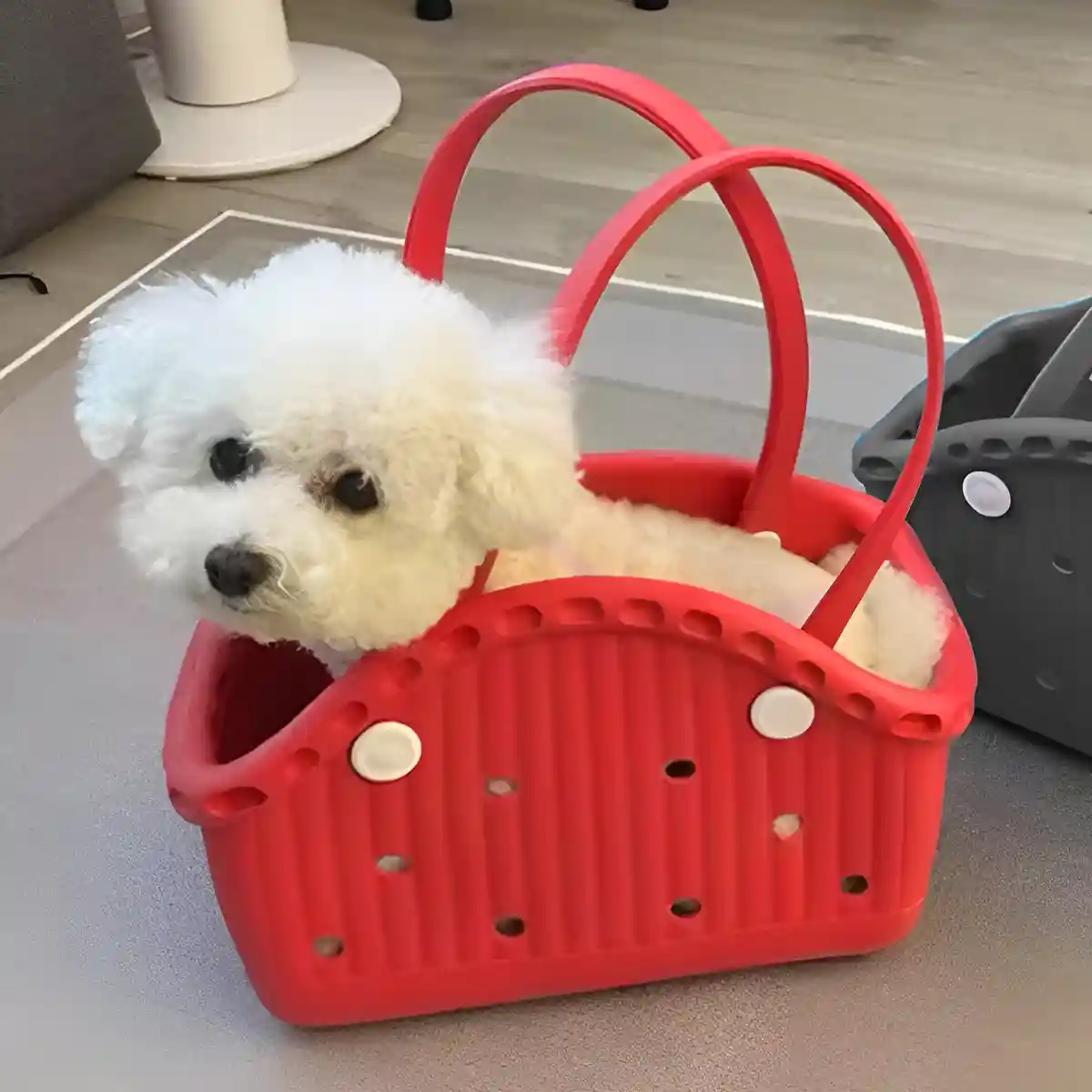 Portable EVA Dog Carrier Bag for Small Pets with Waterproof Design - Image 3