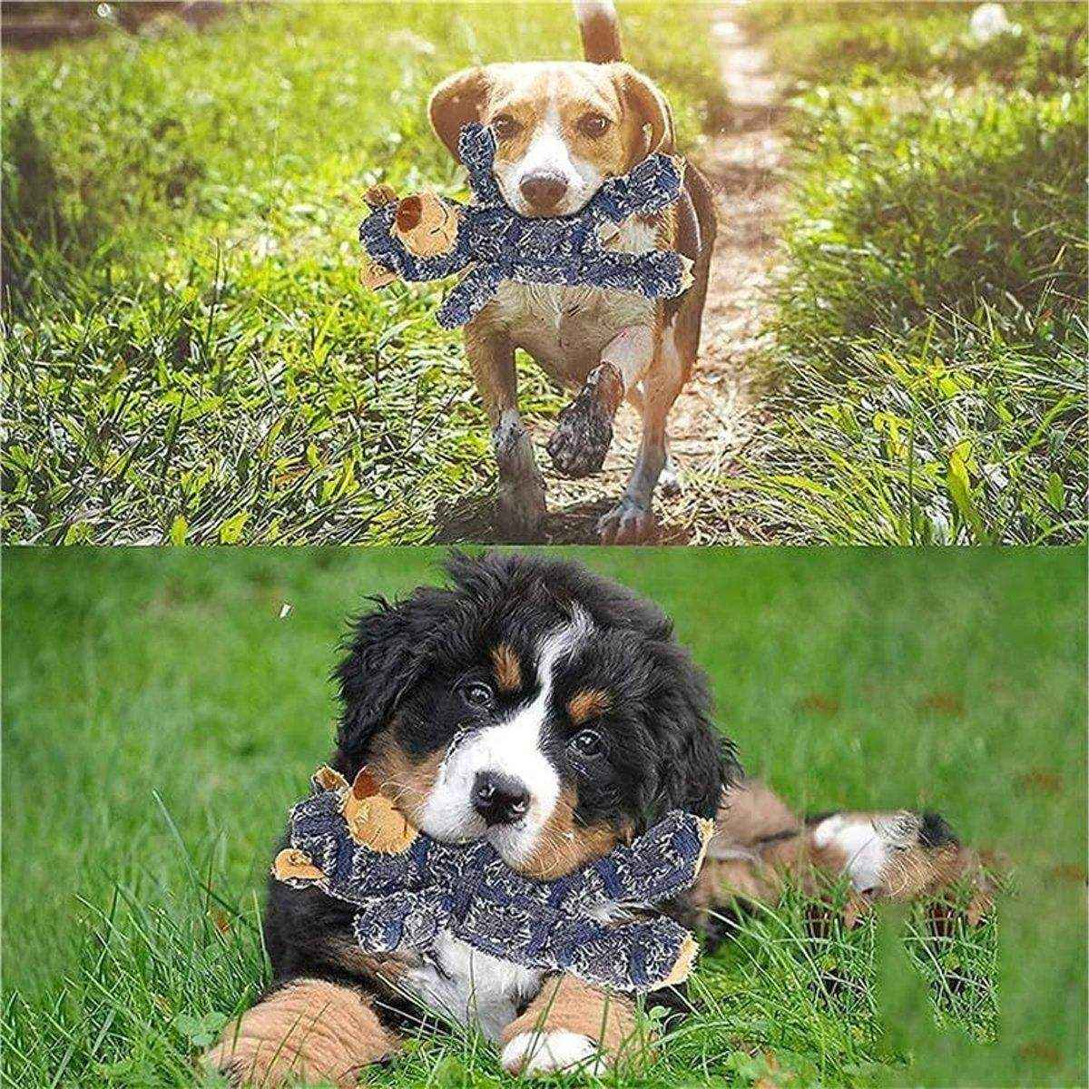 Extreme Bear Dog Toy Indestructible Robust Companion Chewers Chew Toys Training - Image 12
