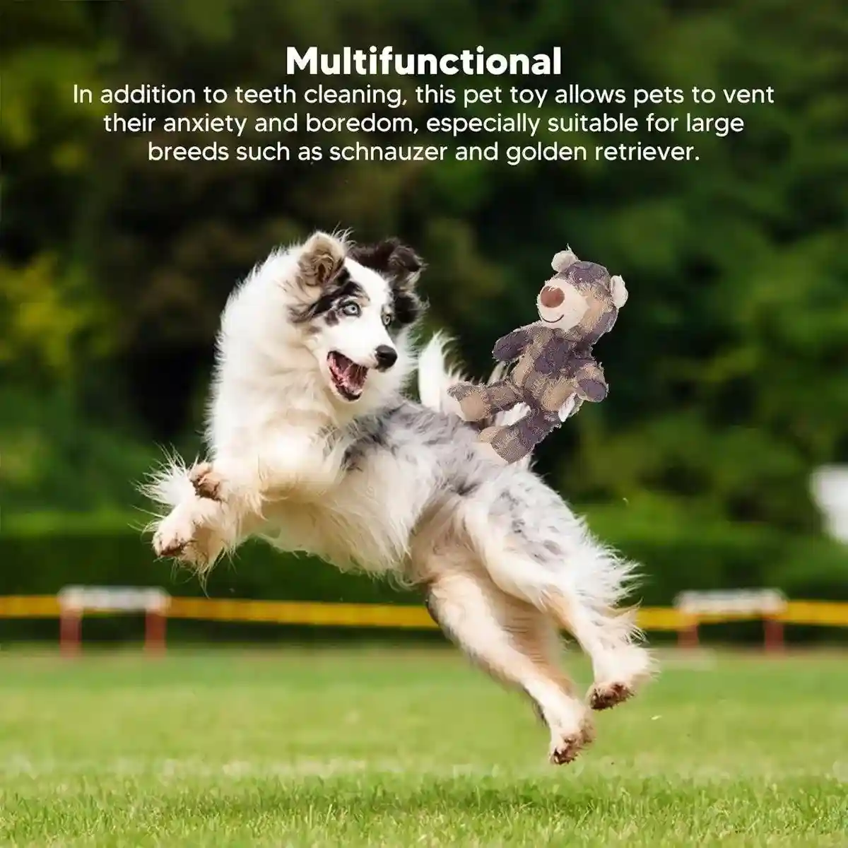 Extreme Bear Dog Toy Indestructible Robust Companion Chewers Chew Toys Training - Image 4
