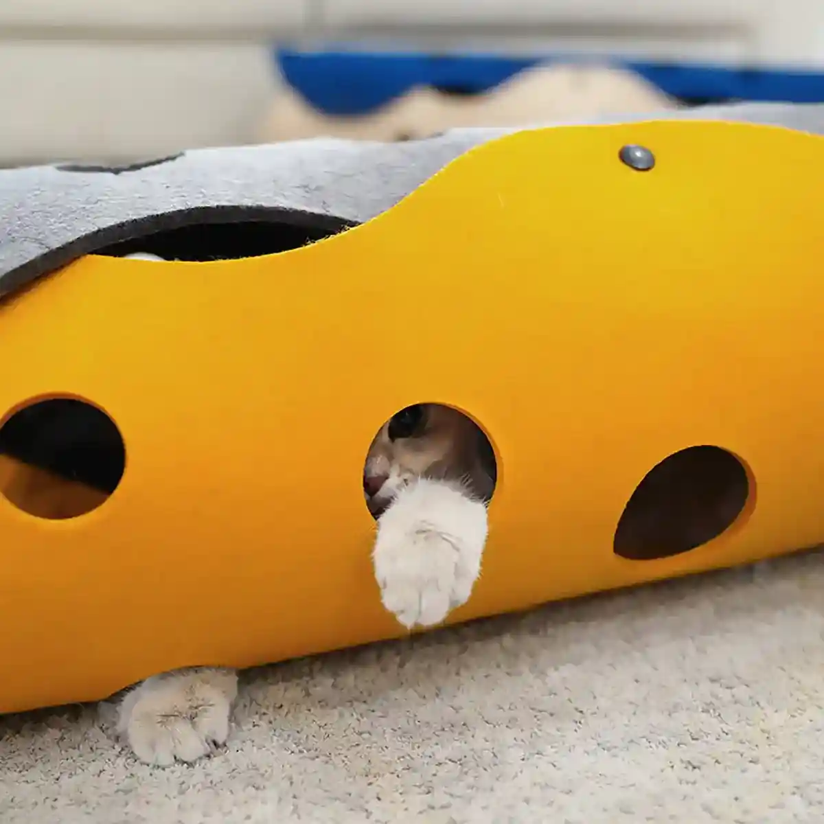 Felt Cat Tunnel Toy Indoor Play Tunnel for Cats and Kittens - Image 13
