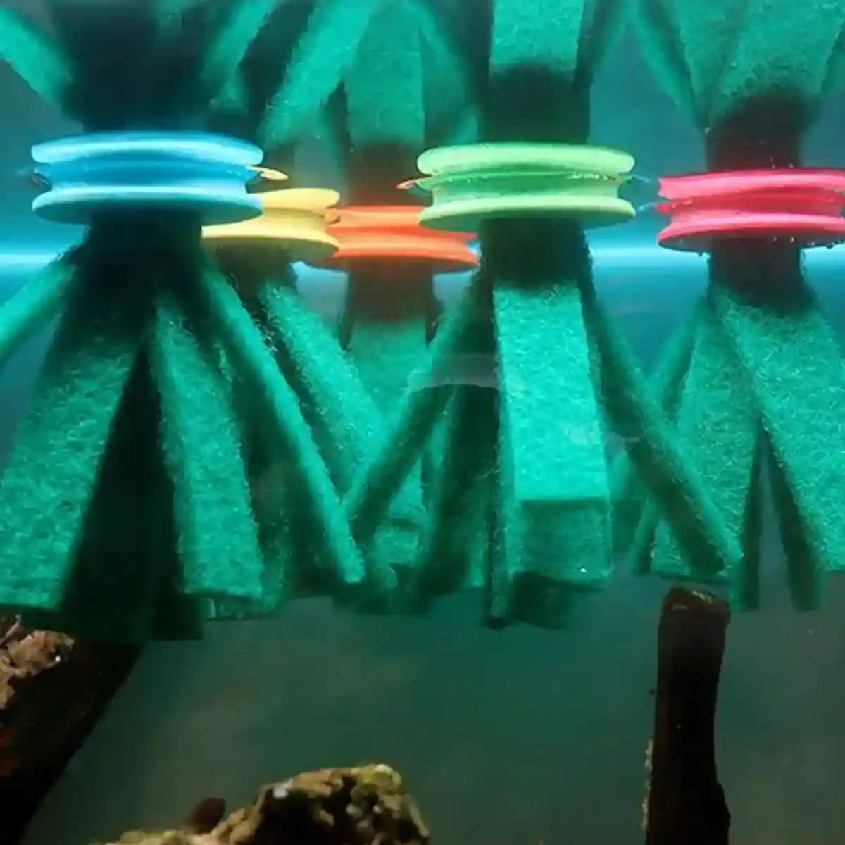 Fish Egg Collector 10PCS Aquarium Breeding Spawning Mop - Image 10