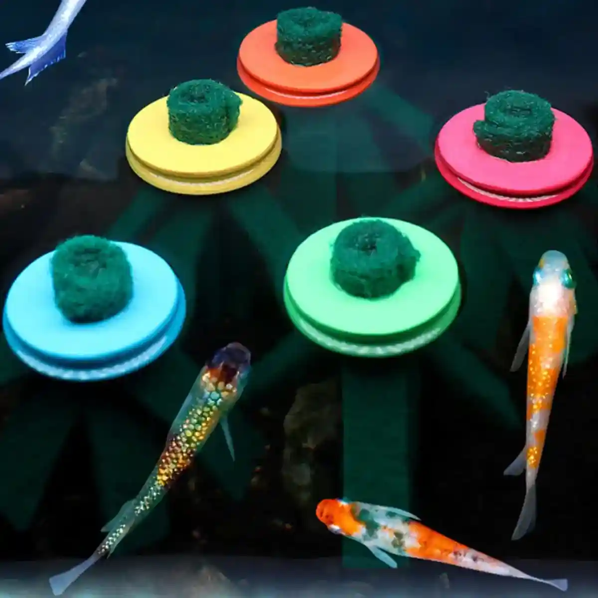 Fish Egg Collector 10PCS Aquarium Breeding Spawning Mop - Image 3