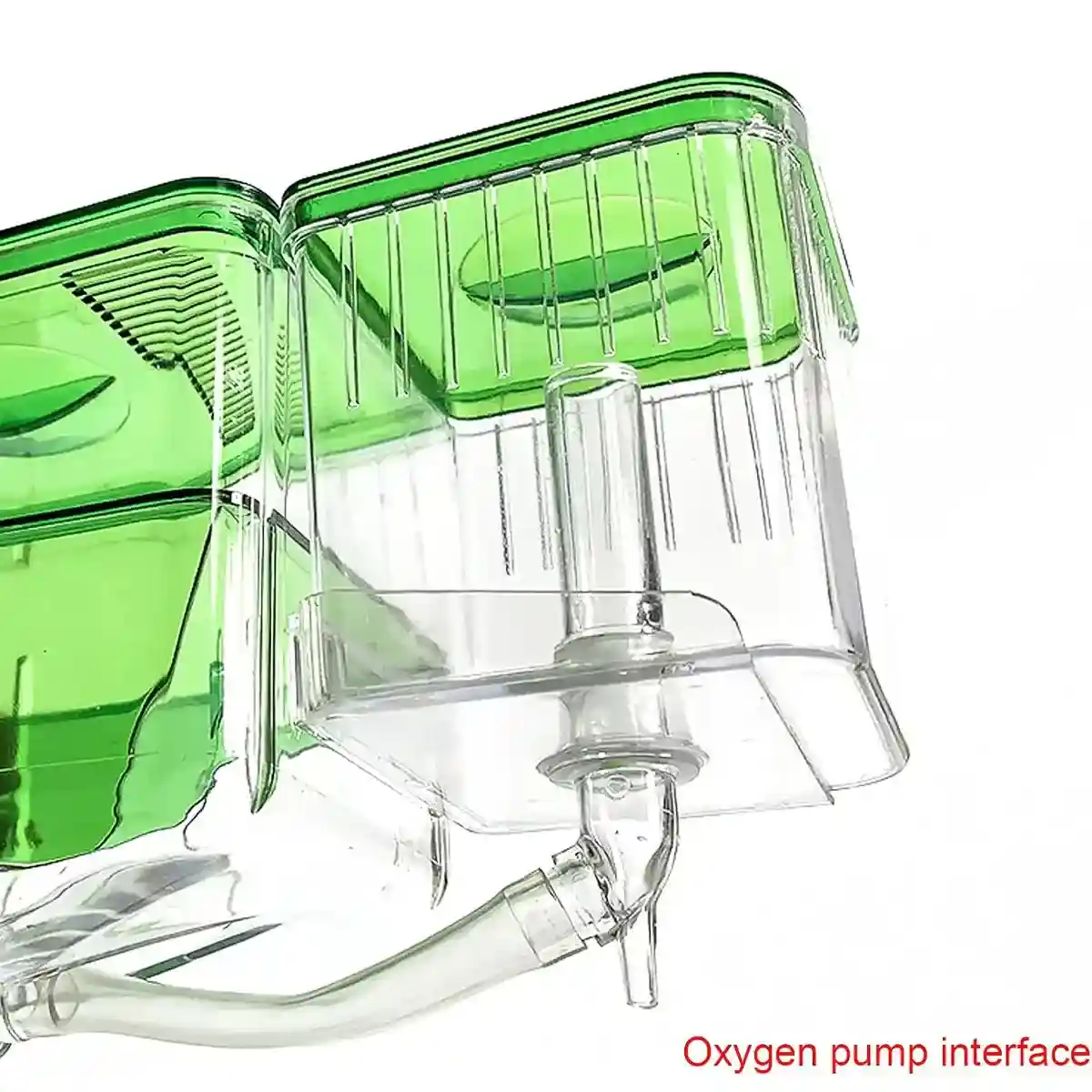 Automatic Breeding Box with Oxygen Port Multifunctional Fish Incubator - Image 5