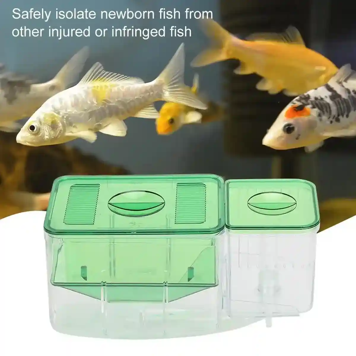 Automatic Breeding Box with Oxygen Port Multifunctional Fish Incubator - Image 8