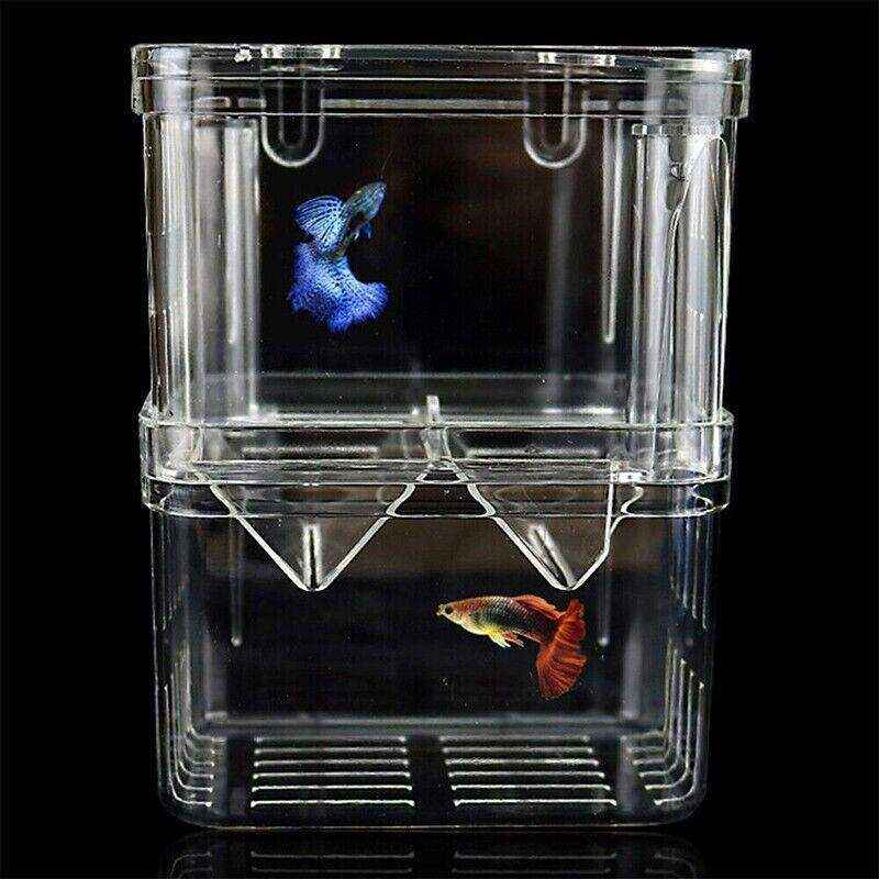 Durable Fish Tank Breeding Box for Safe Fish Separation - Image 6