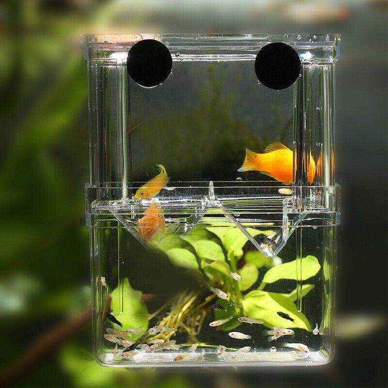 Durable Fish Tank Breeding Box for Safe Fish Separation - Image 7