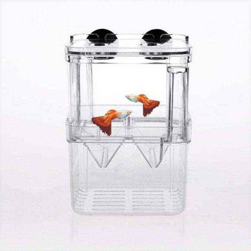 Durable Fish Tank Breeding Box for Safe Fish Separation - Image 9