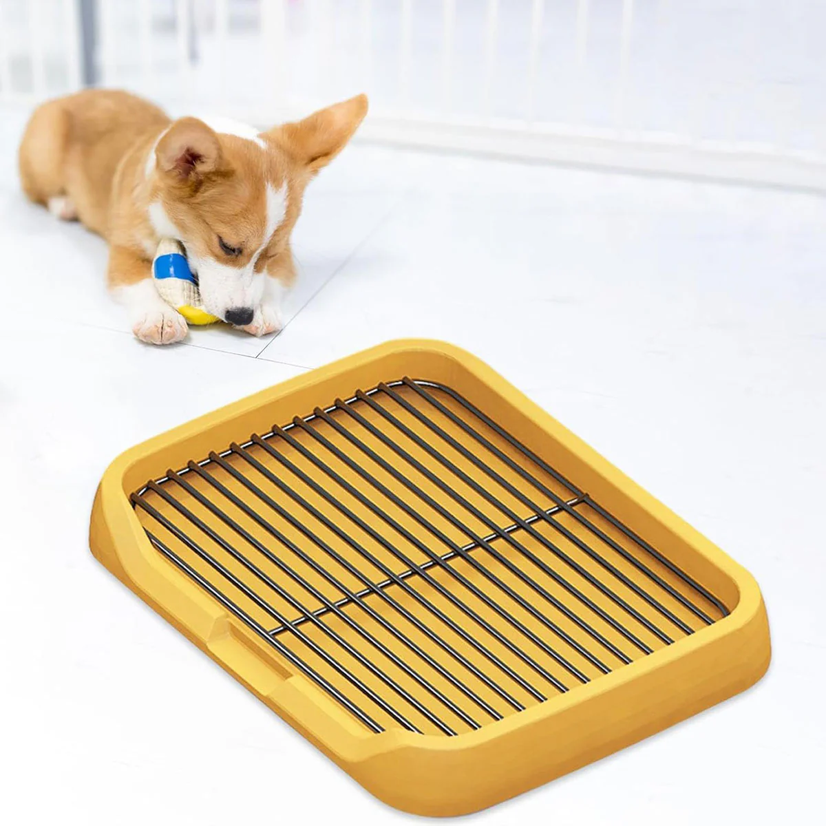 Flat Dog Toilet Tray With Iron Frame - Image 5