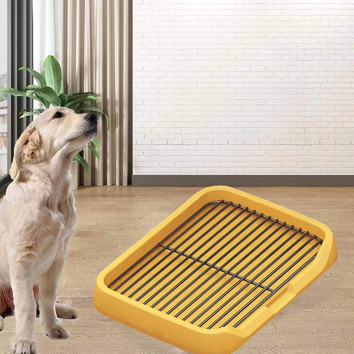 Flat Dog Toilet Tray With Iron Frame - Image 6