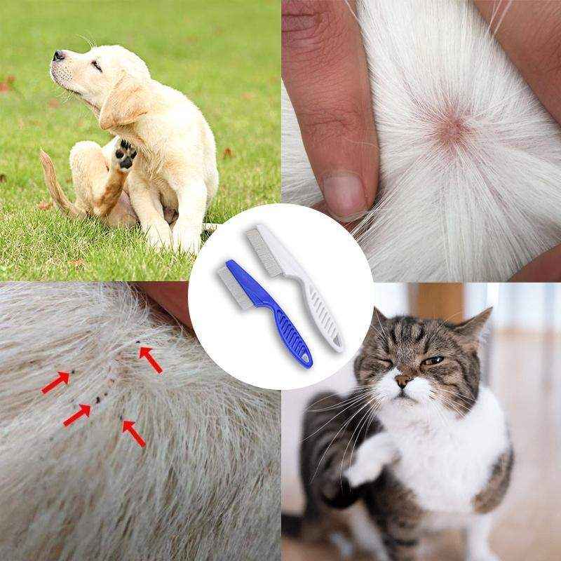 Premium Flea Comb for Dogs and Cats Effective Flea Removal Tool - Image 8