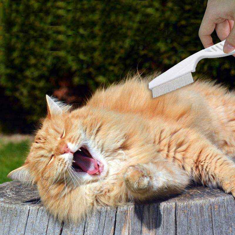 Premium Flea Comb for Dogs and Cats Effective Flea Removal Tool - Image 9