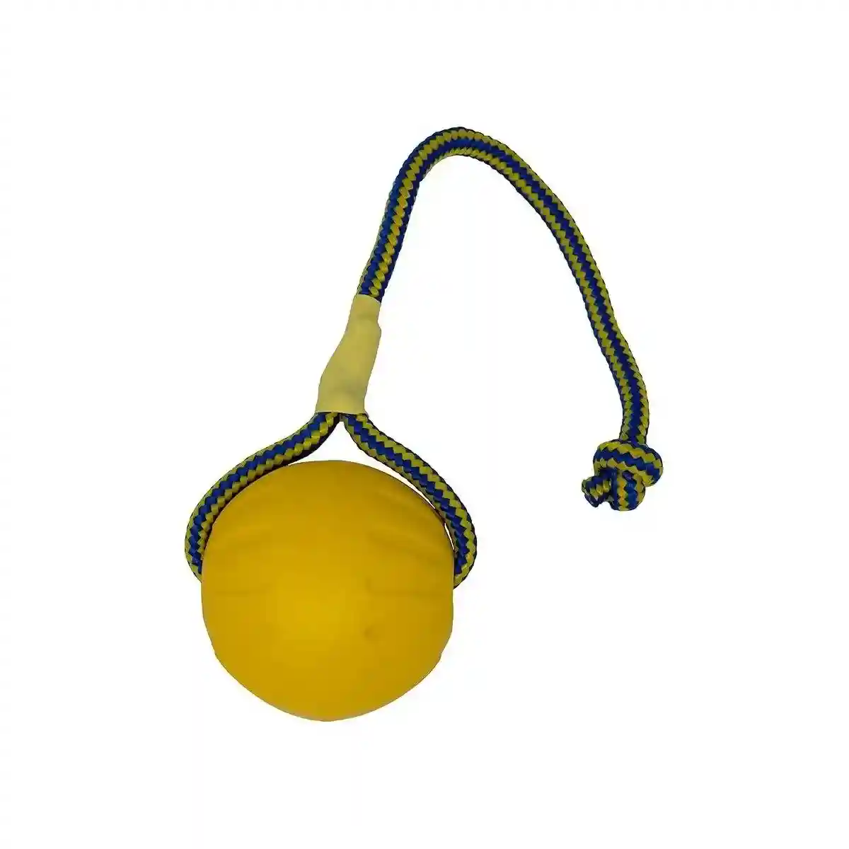 Durable Floating Dog Frisbee for Outdoor Fun and Teeth Cleaning - Image 10