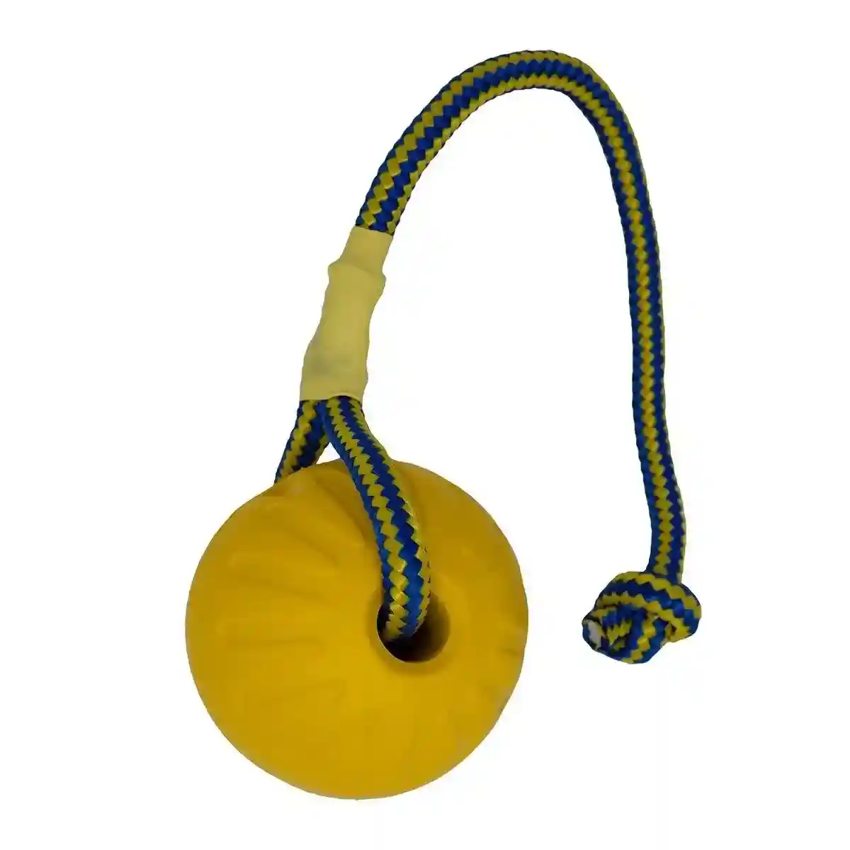 Durable Floating Dog Frisbee for Outdoor Fun and Teeth Cleaning - Image 11