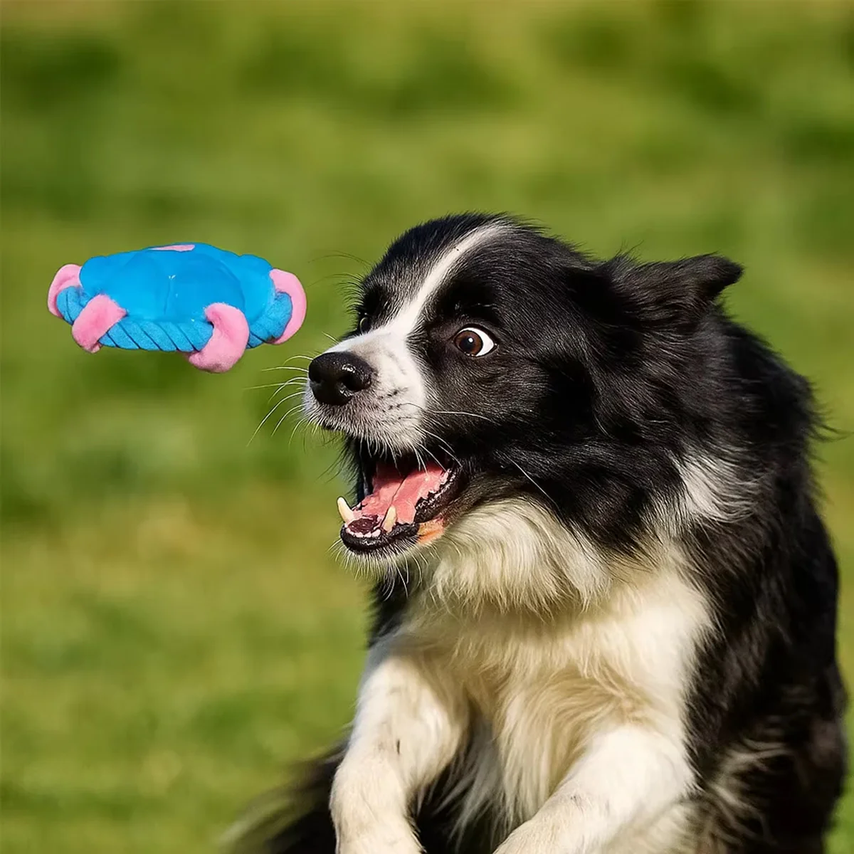 Flower Frisbee Dog Toy With Rope And Squeaker - Image 3