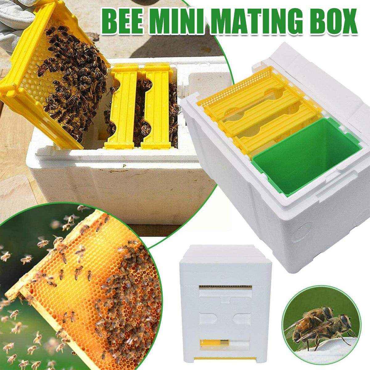 Insulated Foam Bee Boxes for Queen Rearing and Hive Expansion