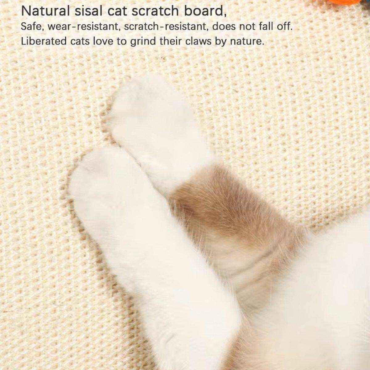 Foldable Cat House Tent Pet Villa Indoor Cat Shelter with Cushion Cat Litter Bed - Image 10