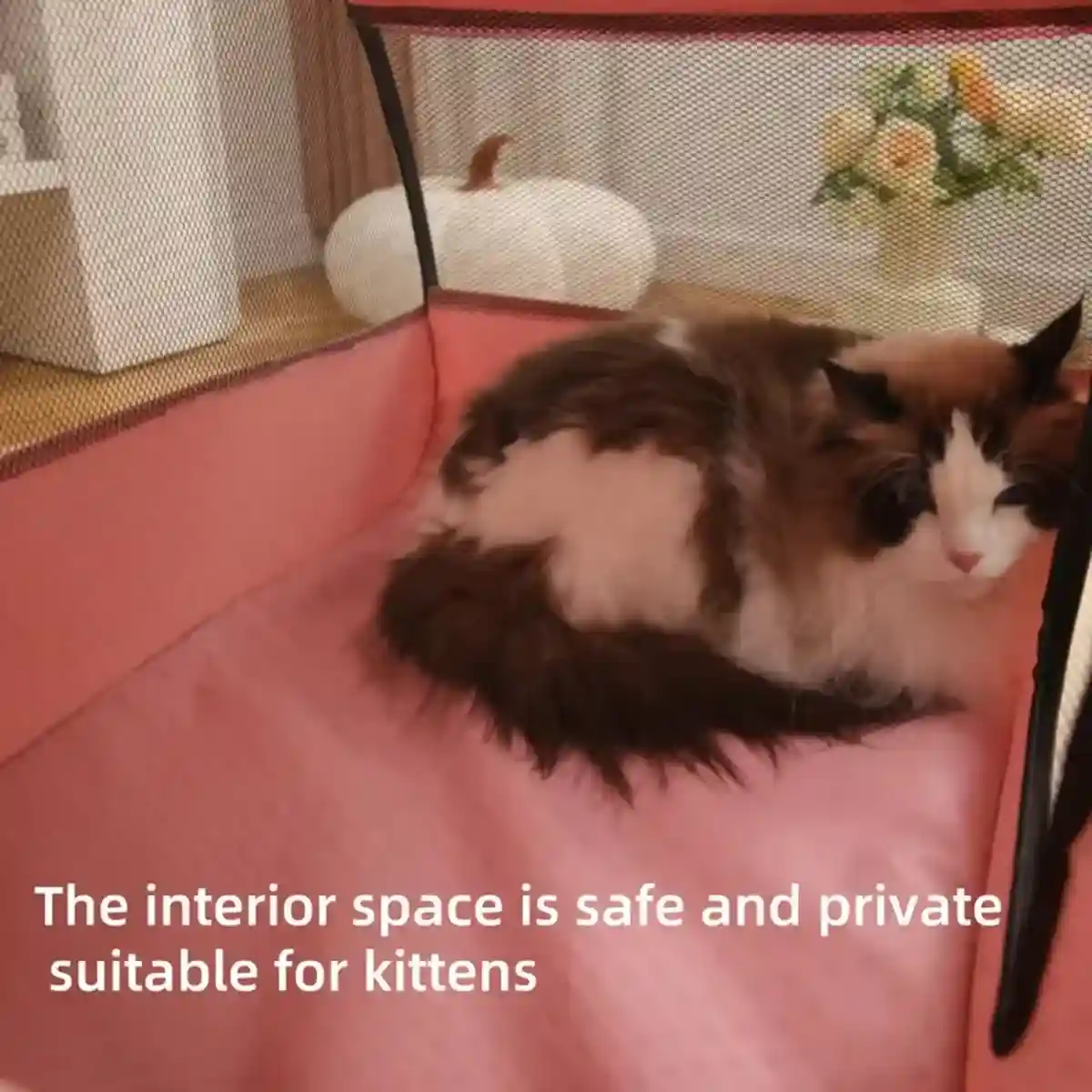 Foldable Cat Tent With Ventilated Design - Image 8