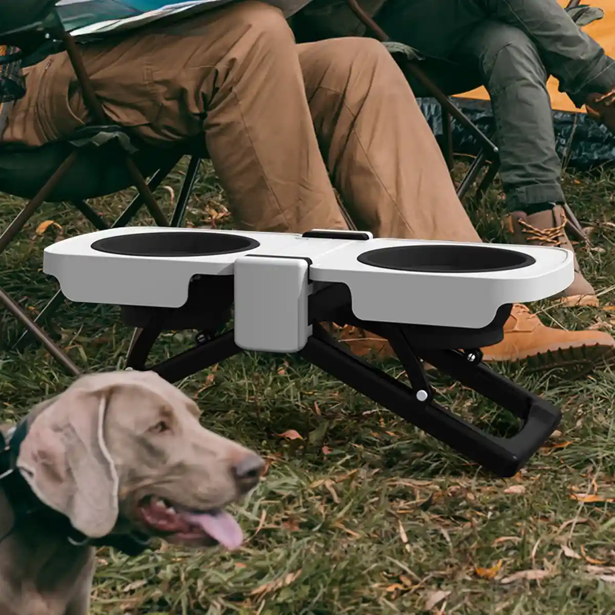 Foldable Elevated Double Pet Bowl - Image 13