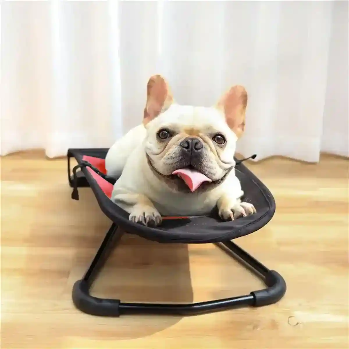 Foldable Pet Rocking Chair Portable & Comfortable Relaxation Seat for Dogs & Cats - Image 9