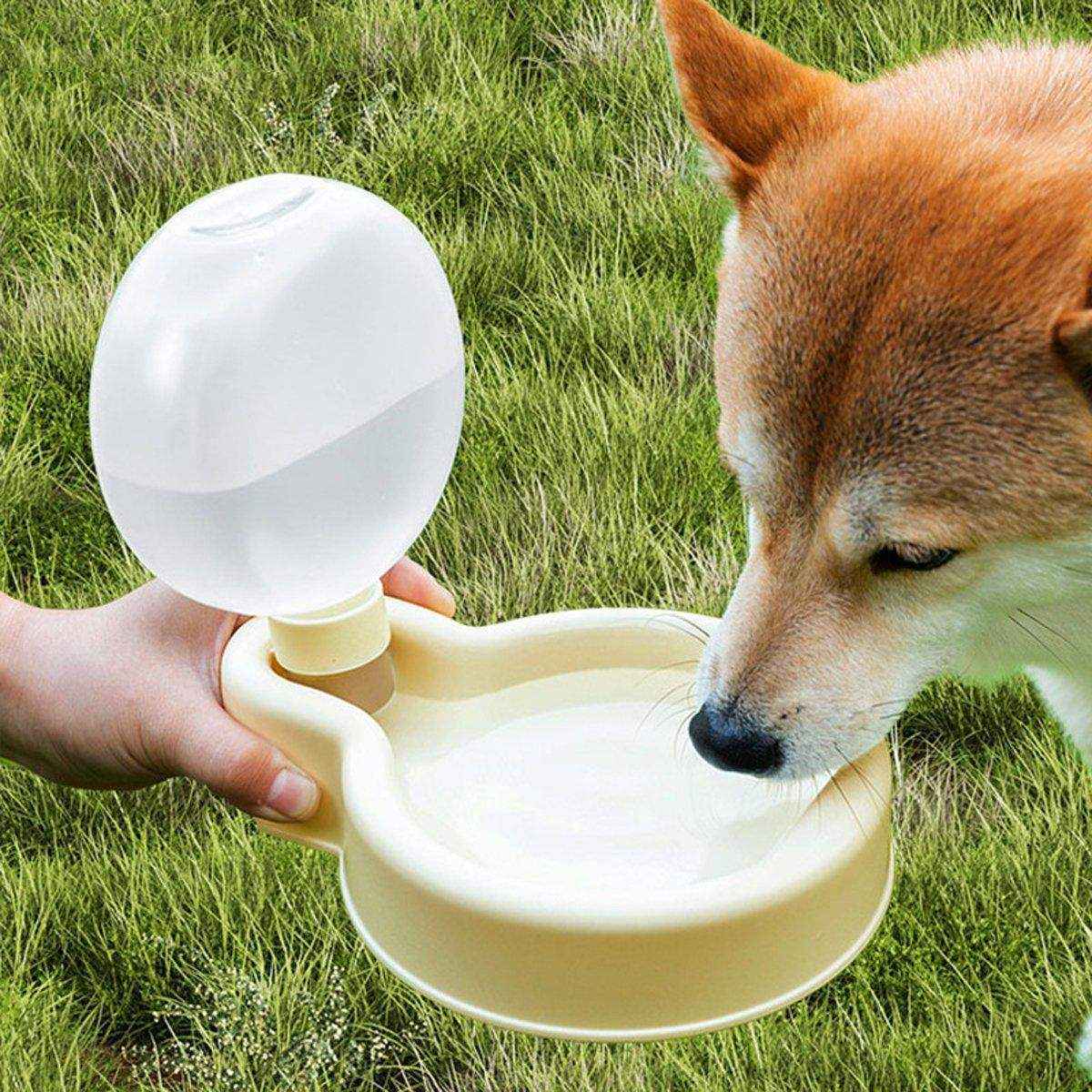 Foldable Portable Pet Water Bottle Convenient Travel Hydration - Image 5