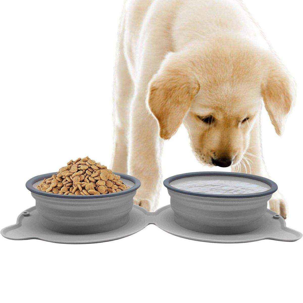 Foldable Silicone Pet Feeding Bowl Lightweight & Portable 5 Colors - Image 8
