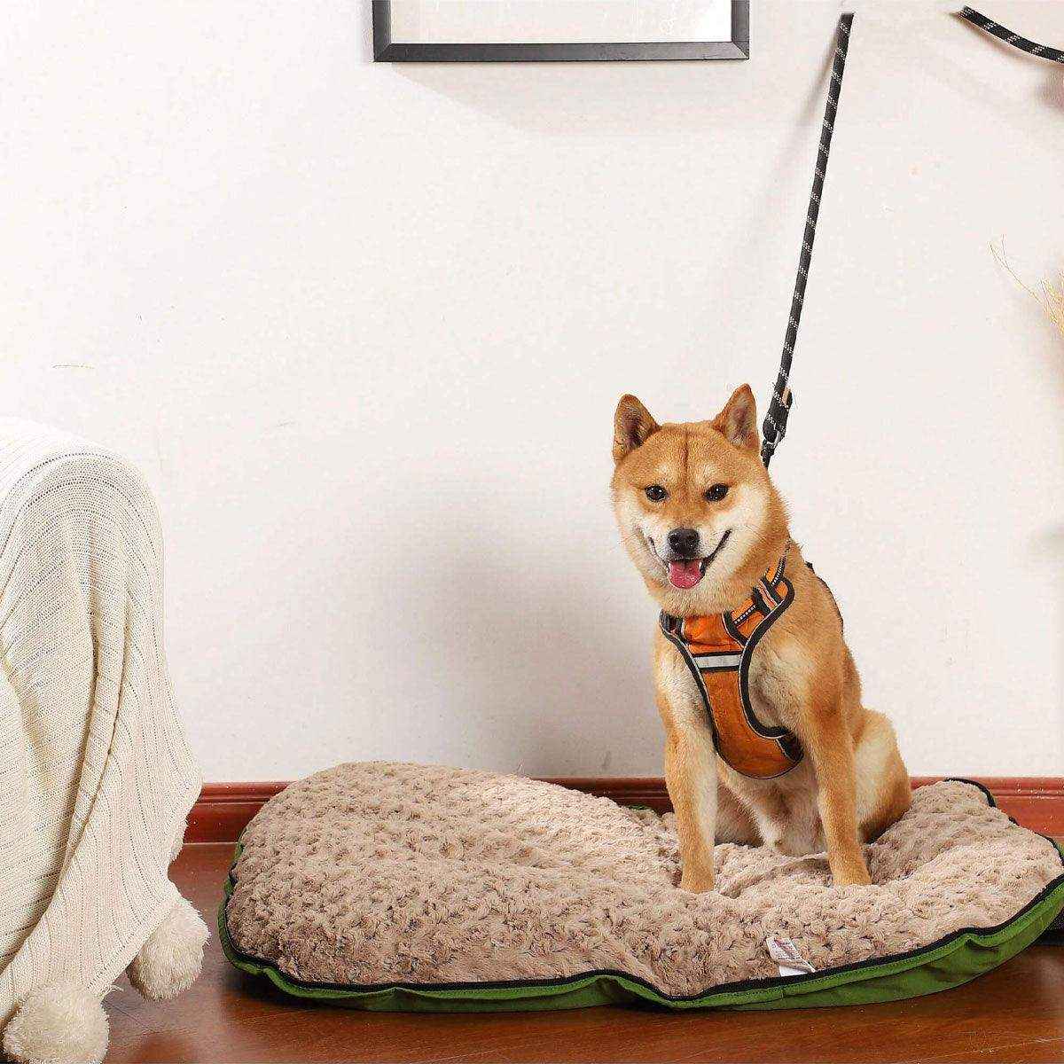 Travel-Friendly Pet Bed Foldable and Durable Waterproof Dog Mat - Image 8