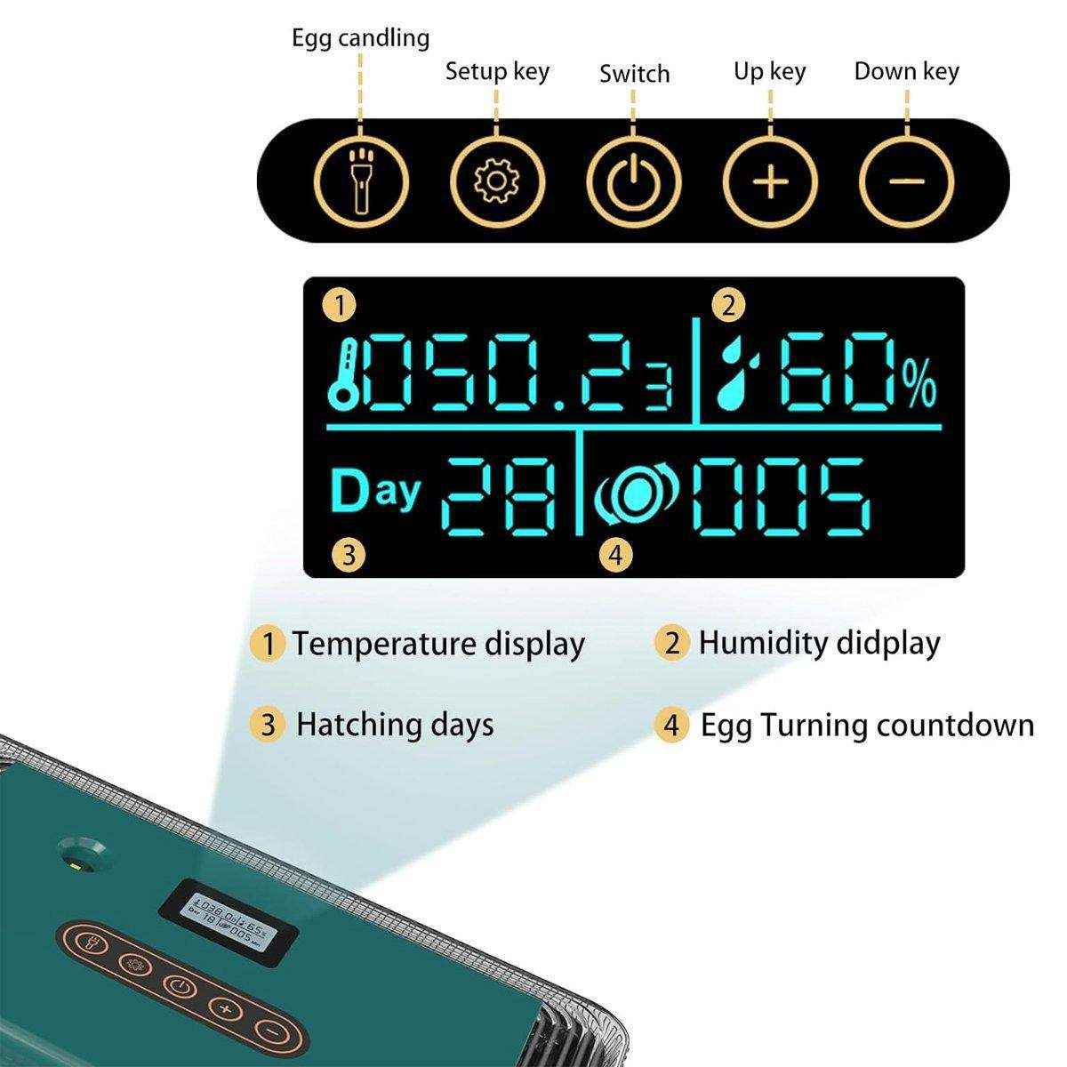 Reliable Fully Automatic Chicken Incubator - Image 19