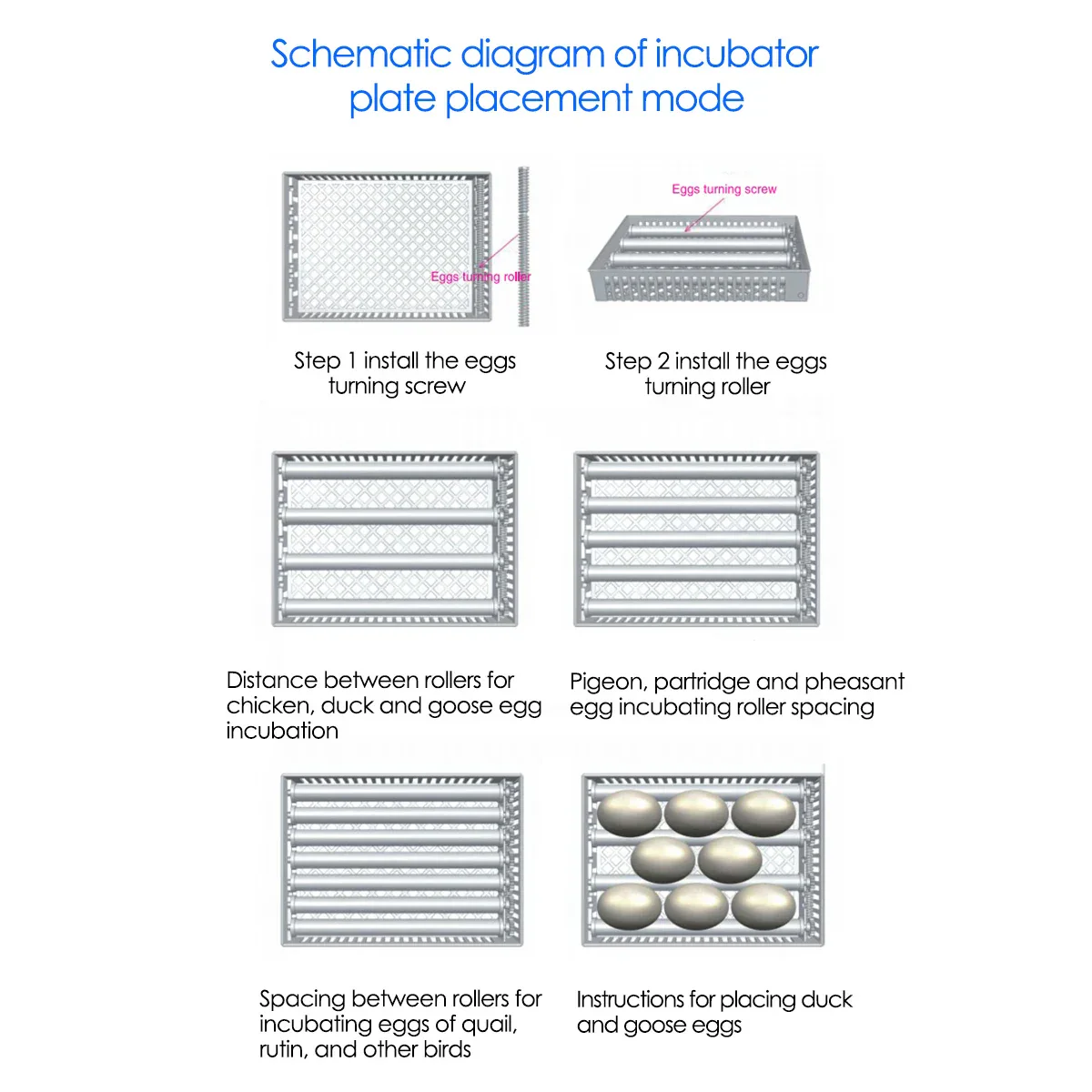 Fully Automatic Egg Incubator With Touch Screen - Image 14
