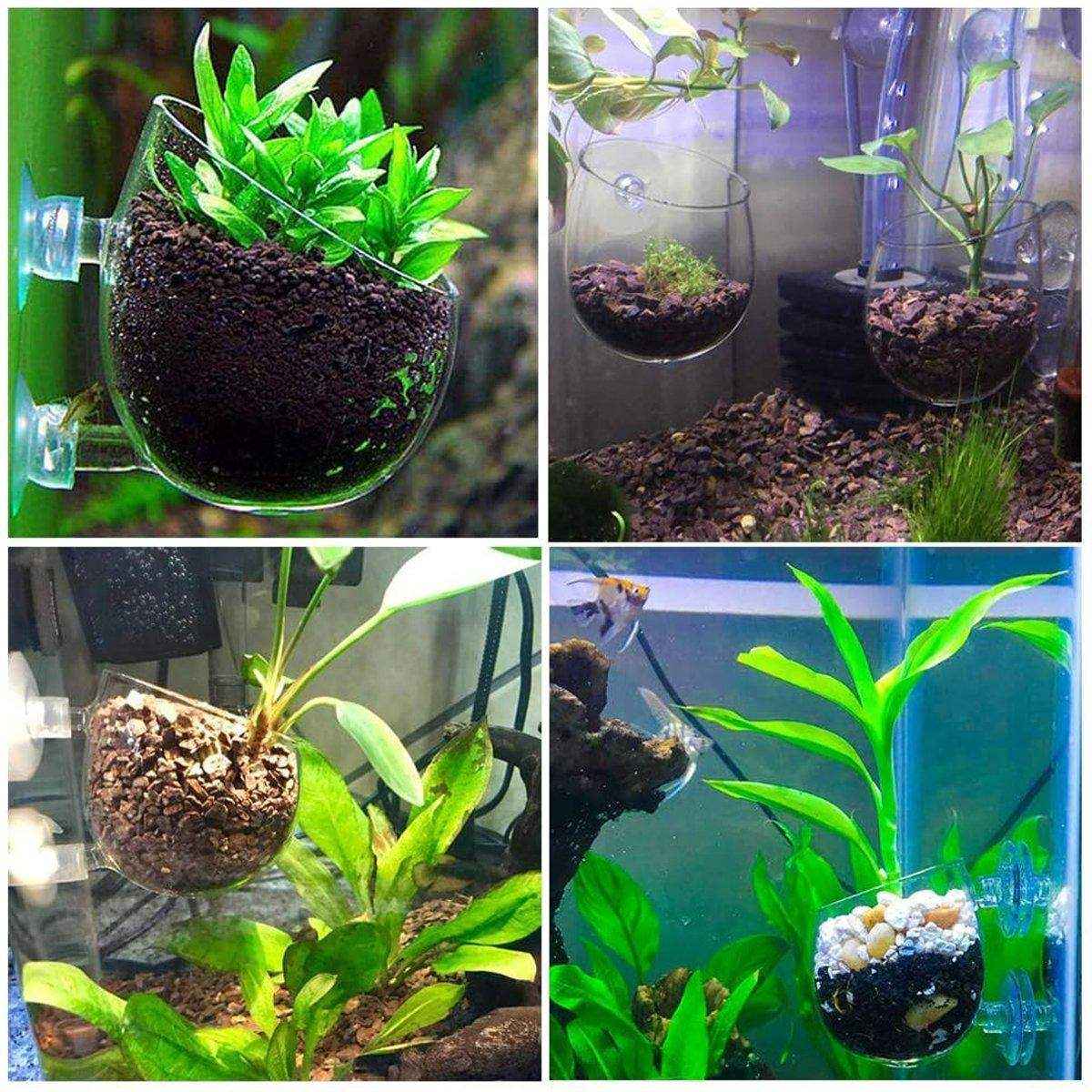 Aquarium Plant Cup for Breeding and Aquascaping Glass Water Plant Holder - Image 8