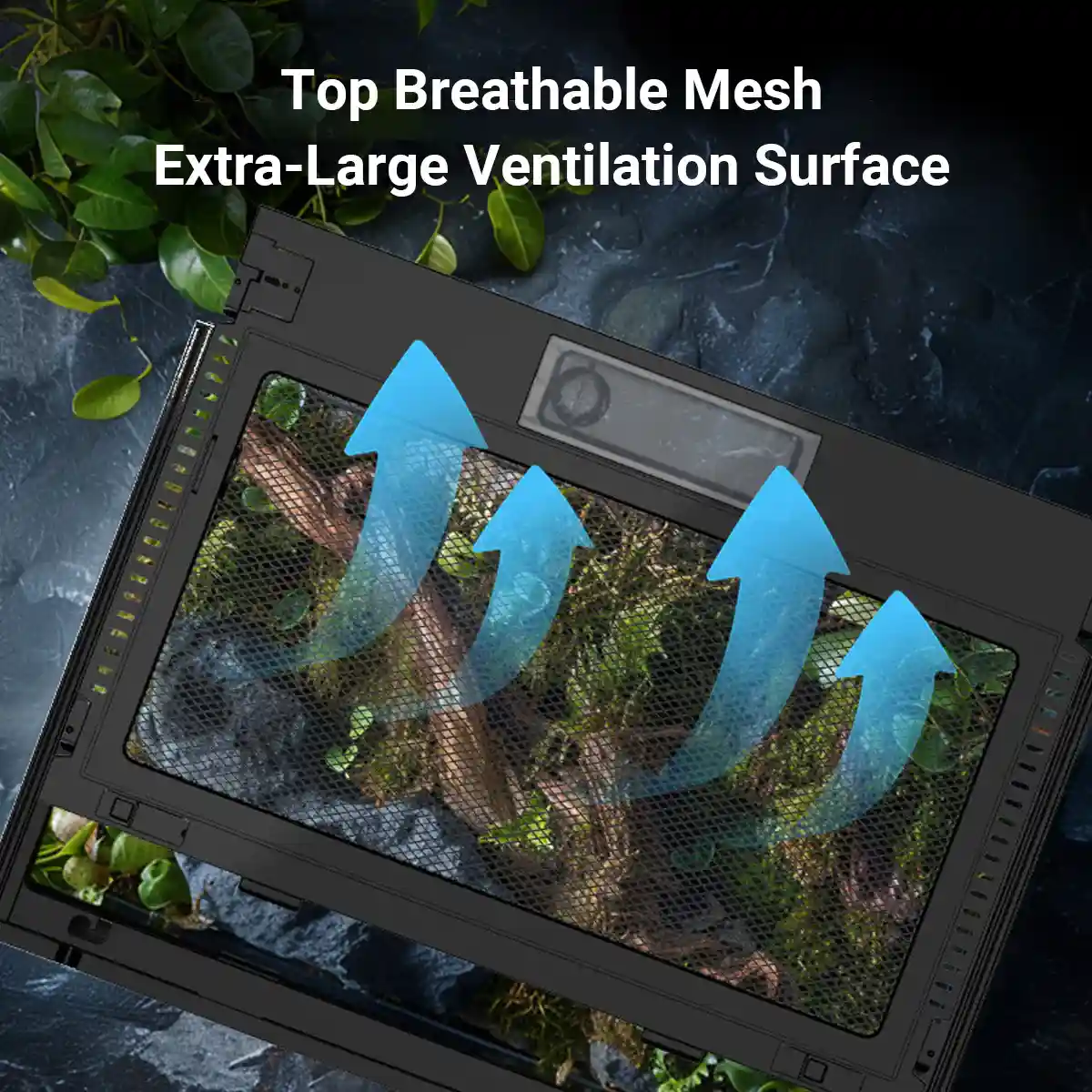 Glass Reptile Terrarium Habitat Tank - Image 4