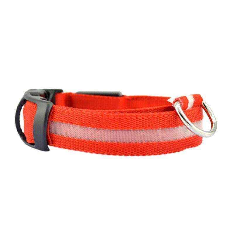 USB Rechargeable Glow Dog Collar LED Light-Up Safety Collar for Night Walks - Image 14