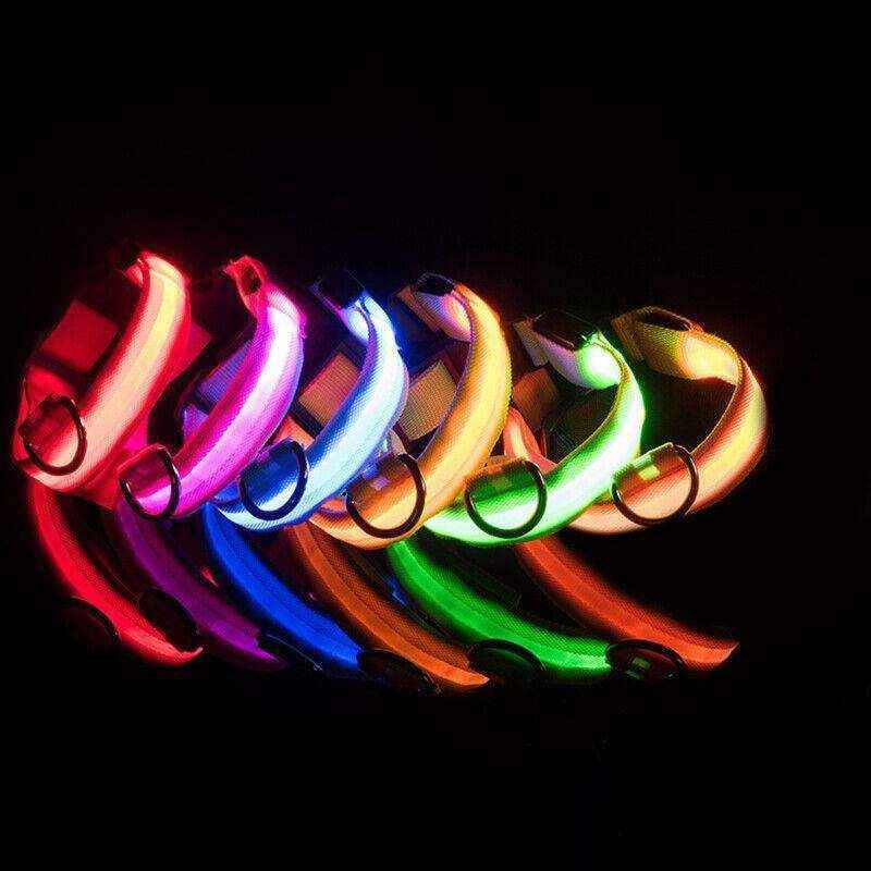 USB Rechargeable Glow Dog Collar LED Light-Up Safety Collar for Night Walks - Image 3