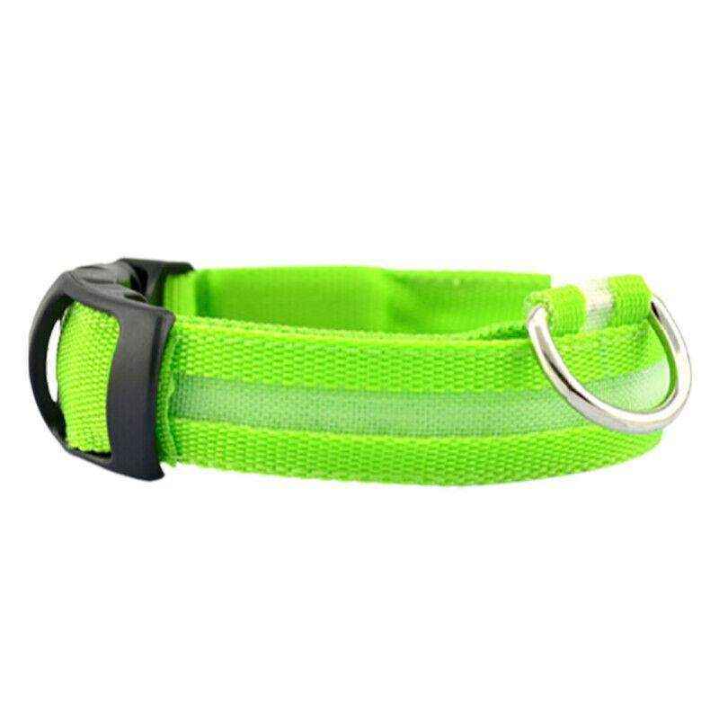 USB Rechargeable Glow Dog Collar LED Light-Up Safety Collar for Night Walks - Image 31