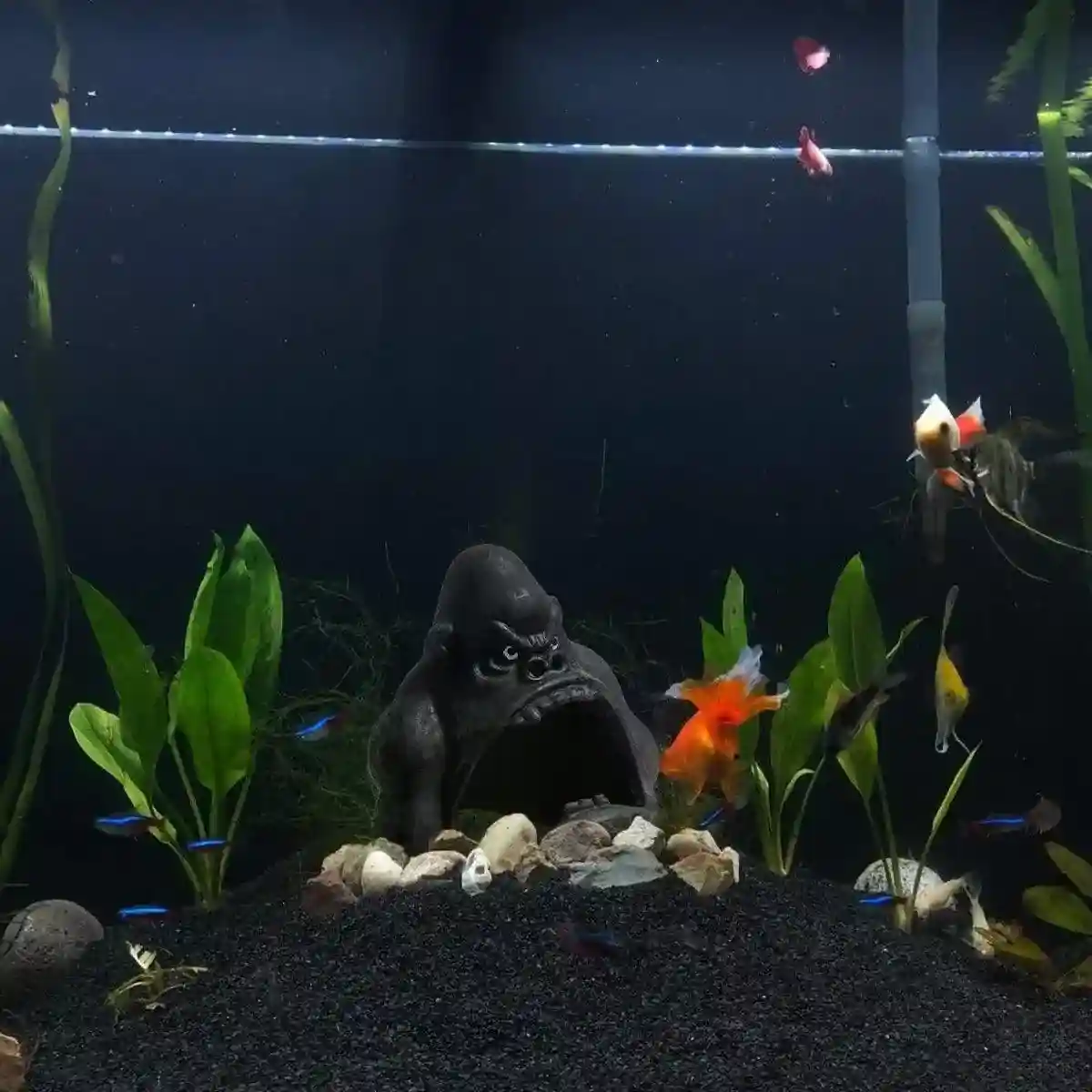 Gorilla Aquarium Decoration Hideout Resin Reptile Fish Tank Cave - Image 12