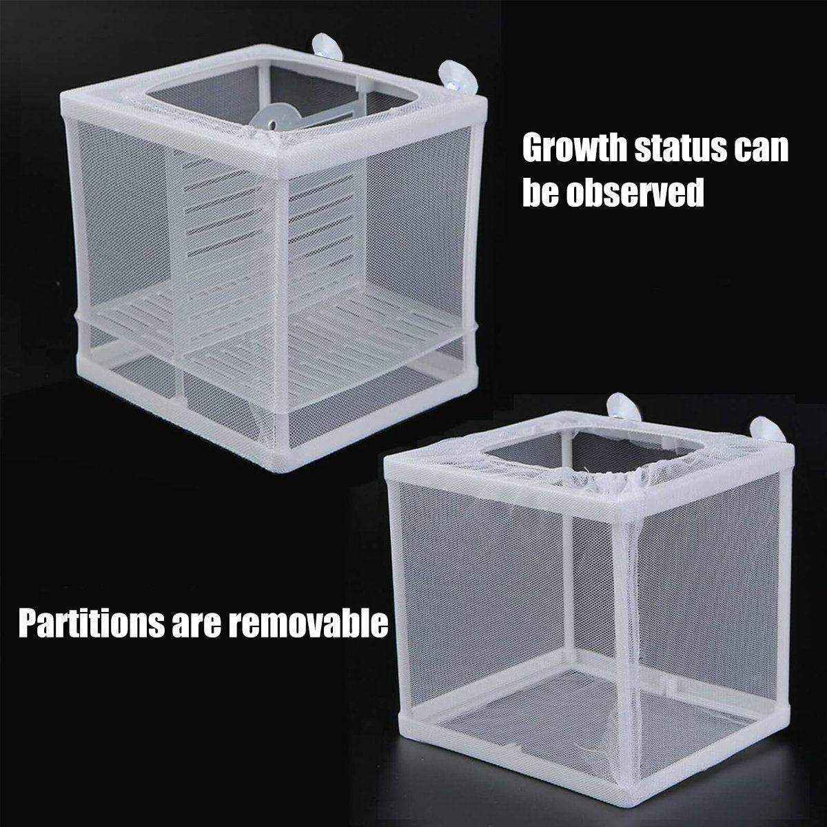 Premium Guppy Breeding Box for Safe Fish Separation - Image 12