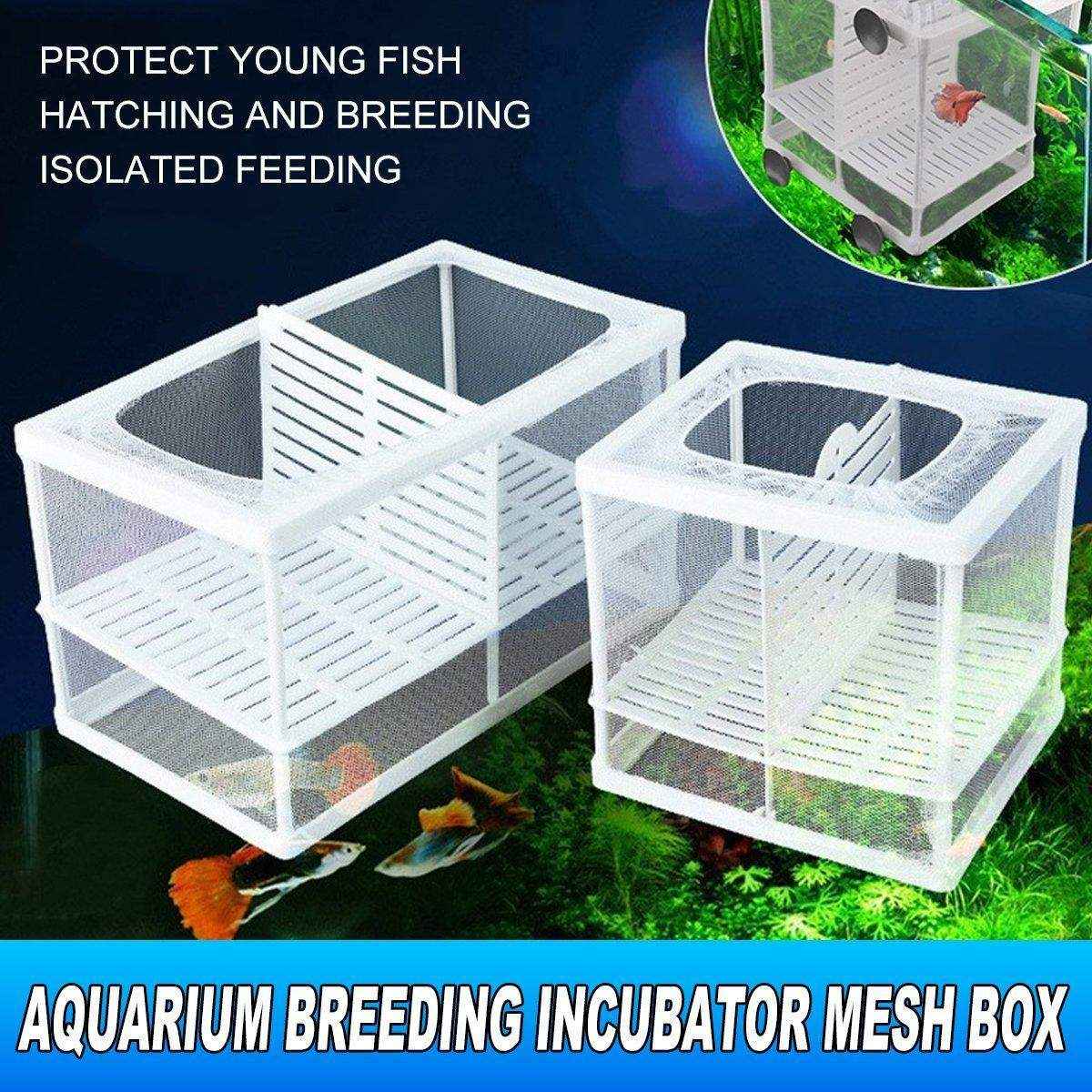 Premium Guppy Breeding Box for Safe Fish Separation - Image 3