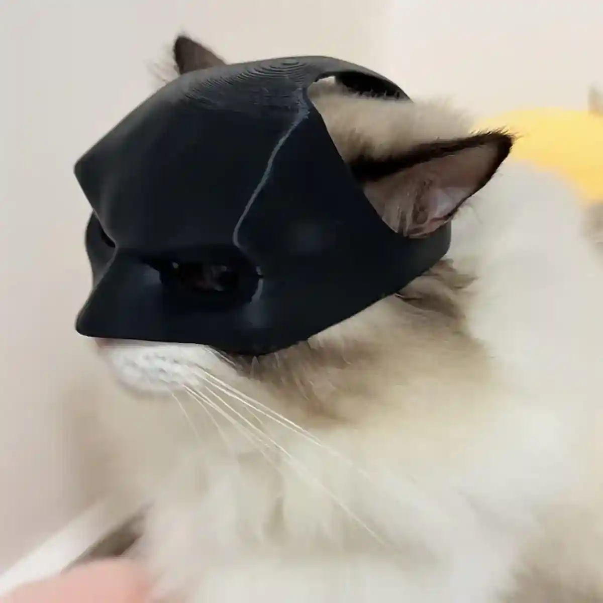 Halloween Bat Mask Cat Mask Pet Costume Accessories - Image 5