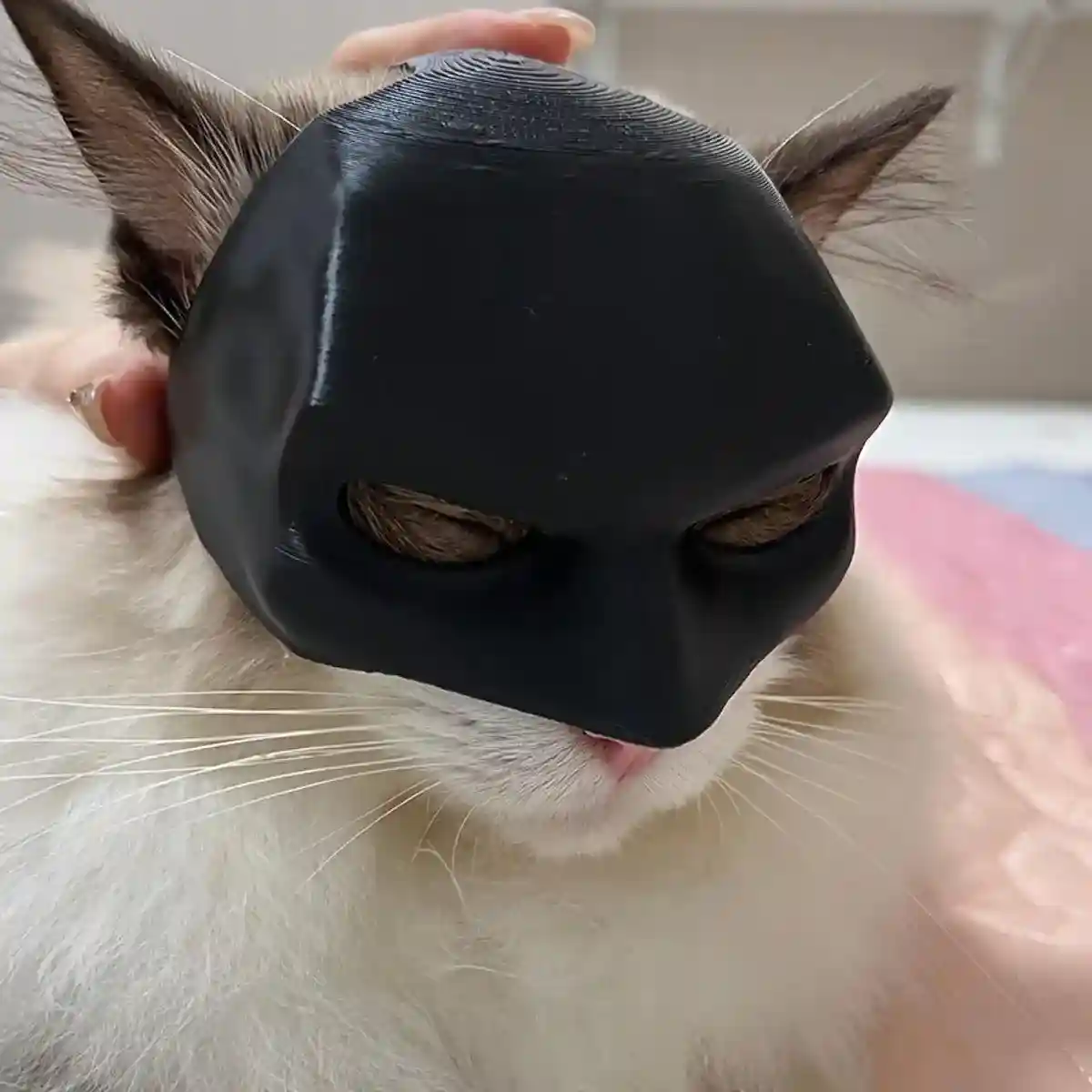 Halloween Bat Mask Cat Mask Pet Costume Accessories - Image 7
