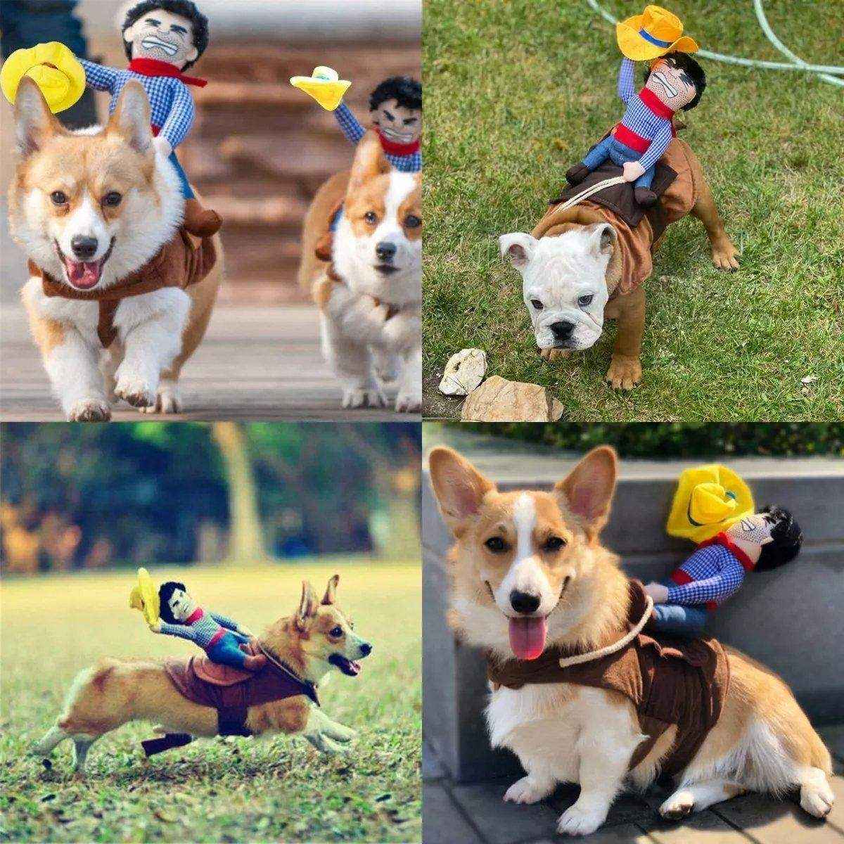 Halloween Dog Costume Pet Accessories Funny Dress Up for Small Medium Dogs - Image 7