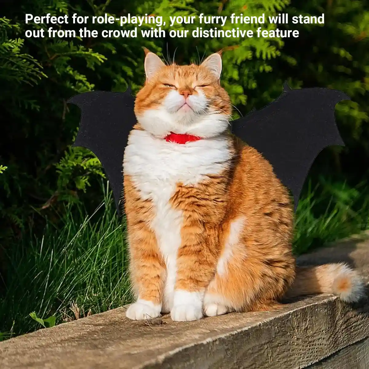 Halloween Pet Bat Wings Costume Adjustable Dog & Cat Outfit - Image 4