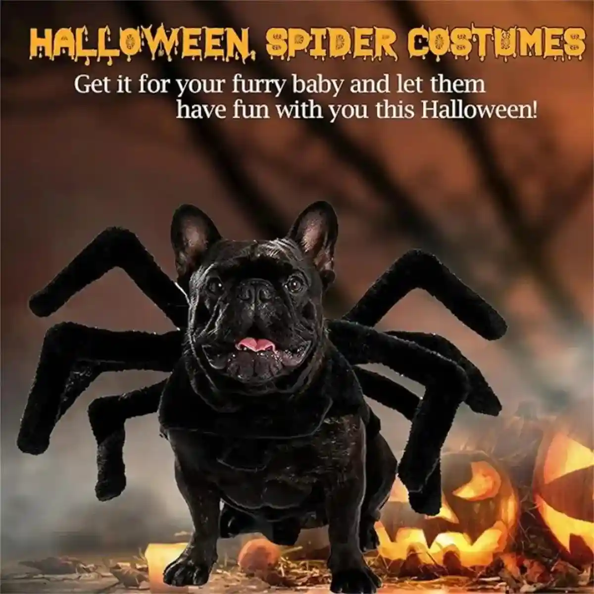 Halloween Pet Spider Costume Creepy & Cute Halloween Outfit for Pets - Image 10