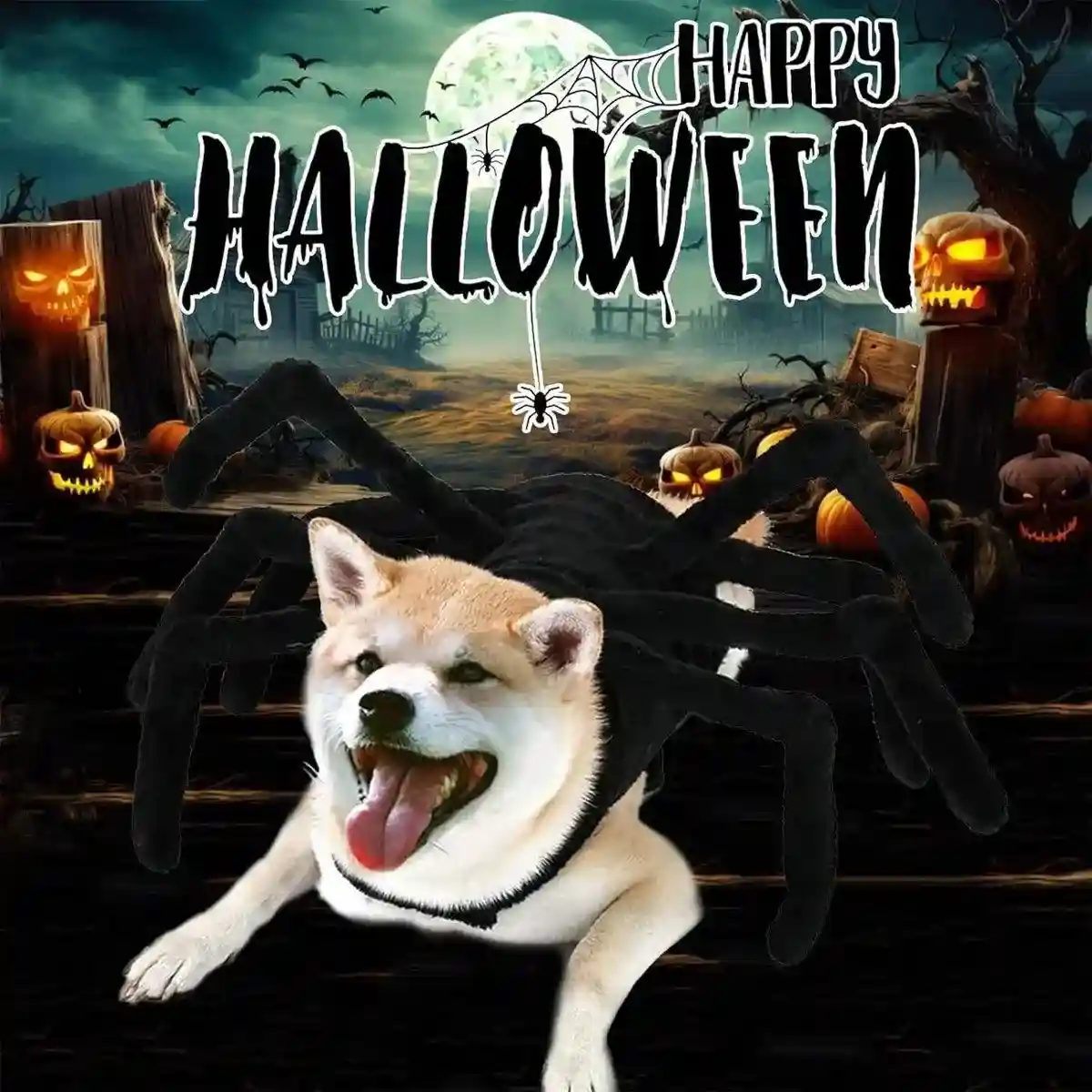 Halloween Pet Spider Costume Creepy & Cute Halloween Outfit for Pets - Image 13